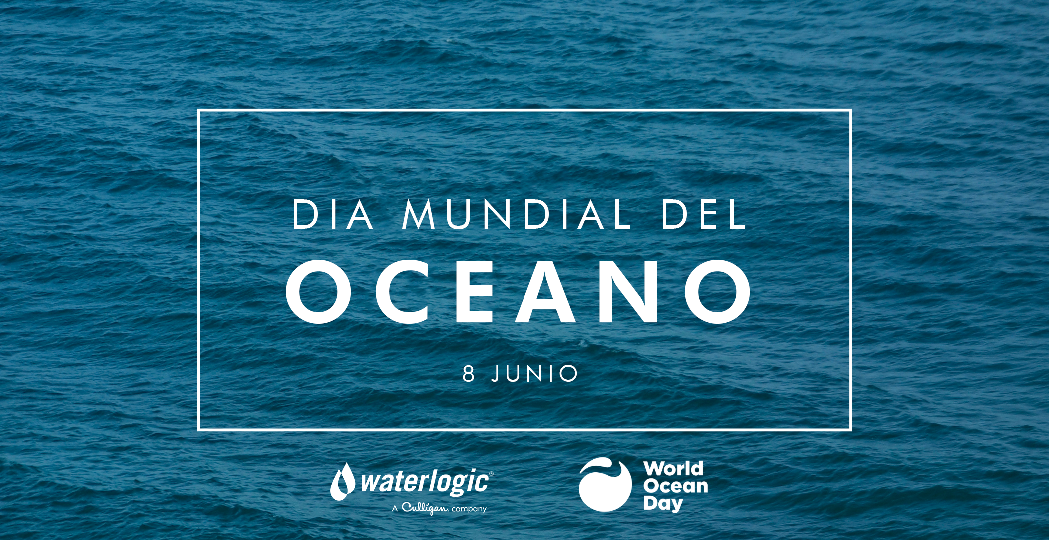 Día Mundial de los Océanos - article image
